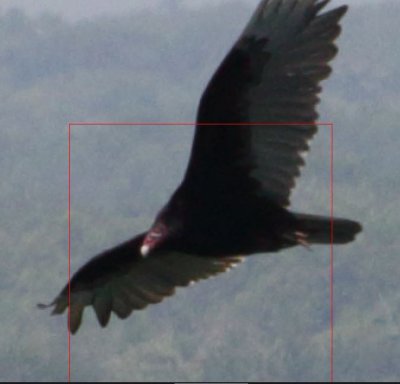 Capture.JPG