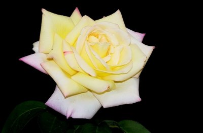 IMGP2683 (2).JPG