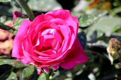 IMG_2047.JPG