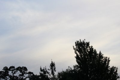 IMG_1004.JPG