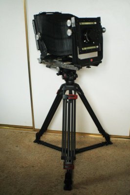 6L5X4662.JPG