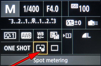 Spot_Focus_Error_7Dii.jpg