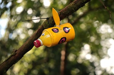 yellow6.jpg