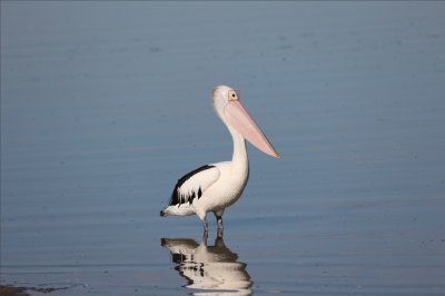 Sawtells Inlet 2 FP.jpg