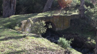 IMG_5343.JPG
