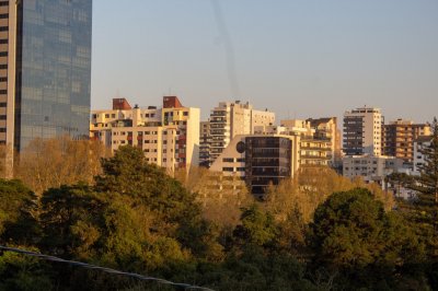 _MG_9322.jpg