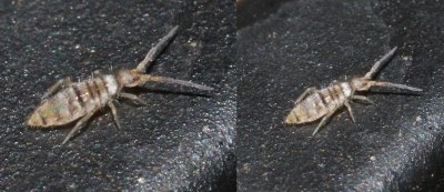 2K0A6627b - Copy (1224x532).jpg
