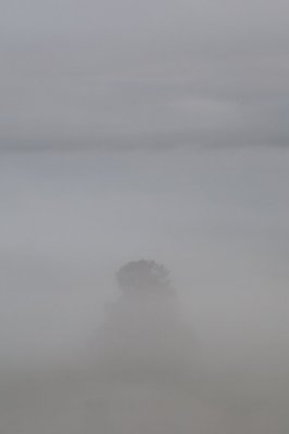 IMG_4423.jpg