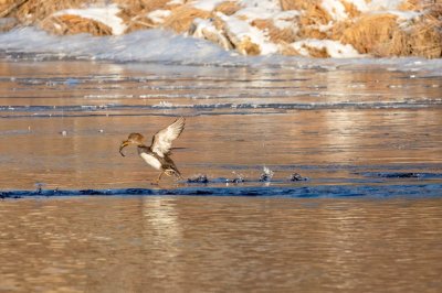 IMG_4713-Edit-Edit.jpg