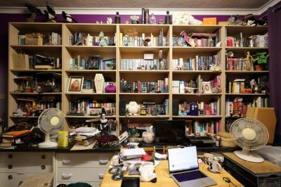 bookshelves1.jpg