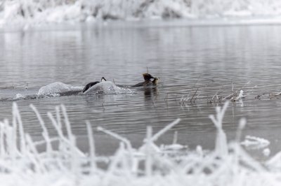 IMG_5706-Edit.jpg