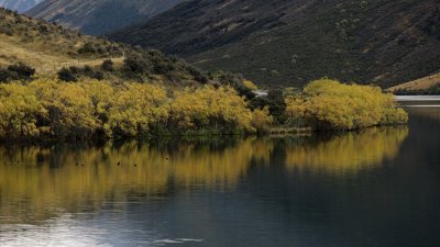 IMG_4605.jpg