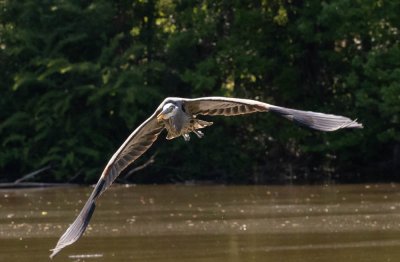Lake Pics -3.jpg