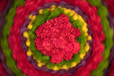 01,DJ176,DP,spinning_flowers.jpg
