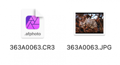 Schermafbeelding 2024-01-19 om 14.44.27.png