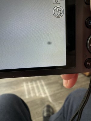 IMG_0309.jpeg