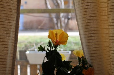 IMG_8490.JPG