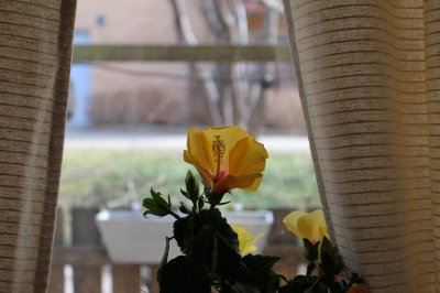 IMG_8495.JPG