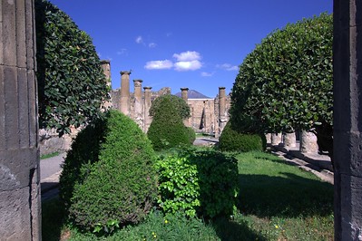 54463582081_fe70ba8370_w.jpg