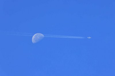 5C5A5145a.jpg