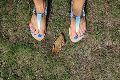 feet1.jpg