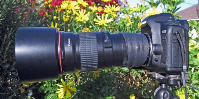 Camera 06.jpg