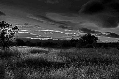 IMG_1238(2).jpg