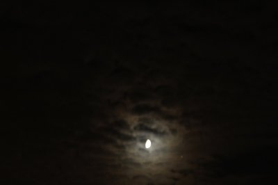 IMG_0181.JPG