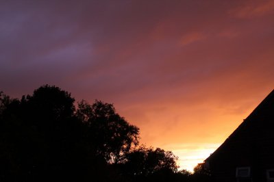 IMG_0130.JPG