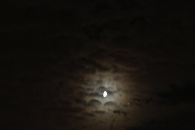 IMG_0184.JPG