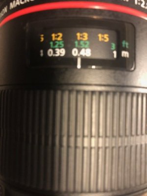 image1 (2).jpeg