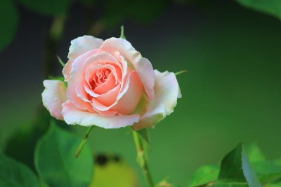 IMG_6659.JPG