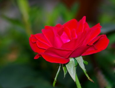 K7_08974 (2).jpg