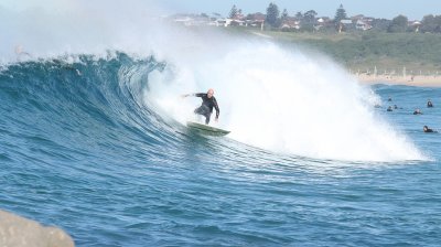 IMG_8183.jpg