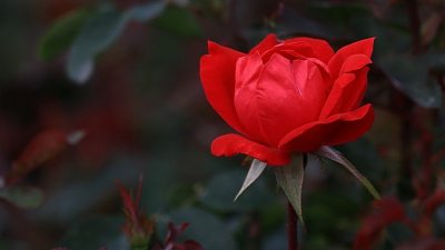 IMG_0078 (2).JPG