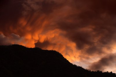 IMG_8506.jpg