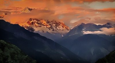 IMG_4319.jpg