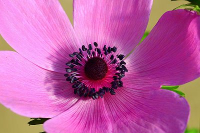 IMG_1680 (2).JPG