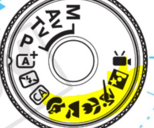 upload_2020-6-25_8-15-32.png