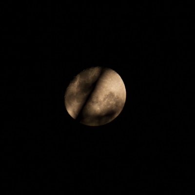 IMG_1783.jpg