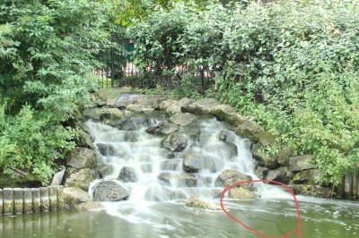 20200801_204955.jpg