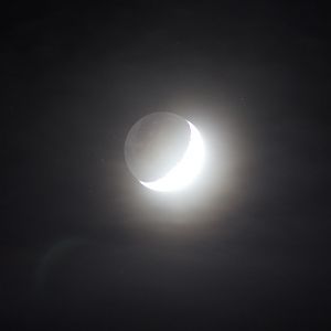 Misty Moon