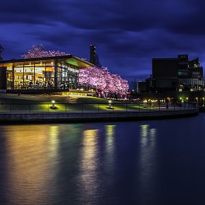 20150404-IMG_3367