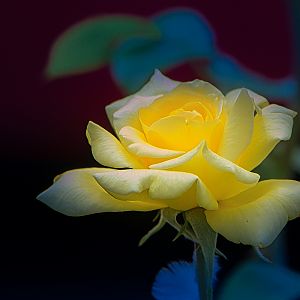 IMG_6157-3-4