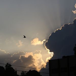 Hosam Photo