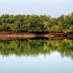 IMG_9080 (1)