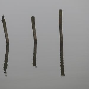 Te Anau lakeside