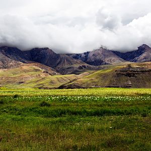 Tibet