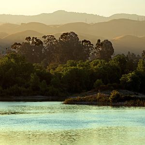 Golden hour