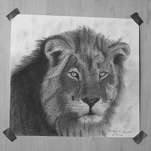 Drawings